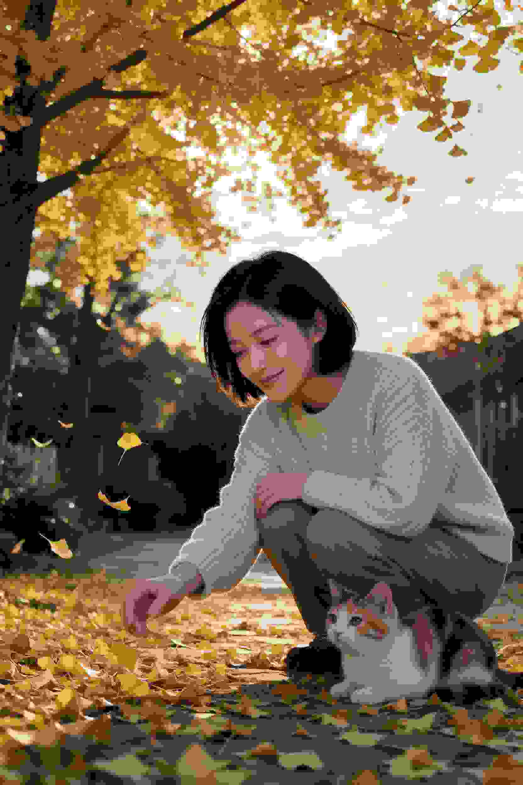 飞行员的秘密
